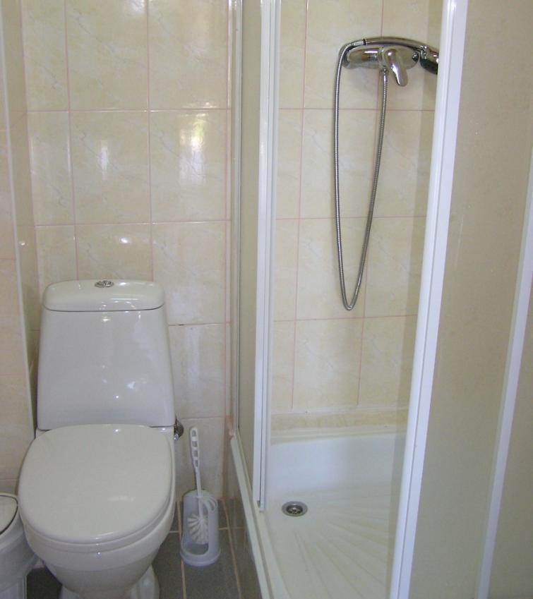 ホテル Vedmid Myslovka 部屋 写真
